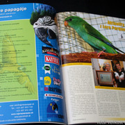 IMG-7829