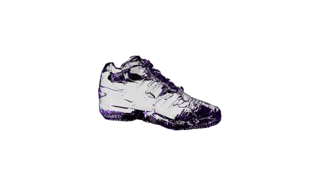 shoe
