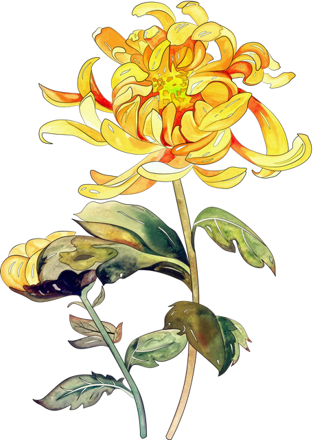 Flower.png