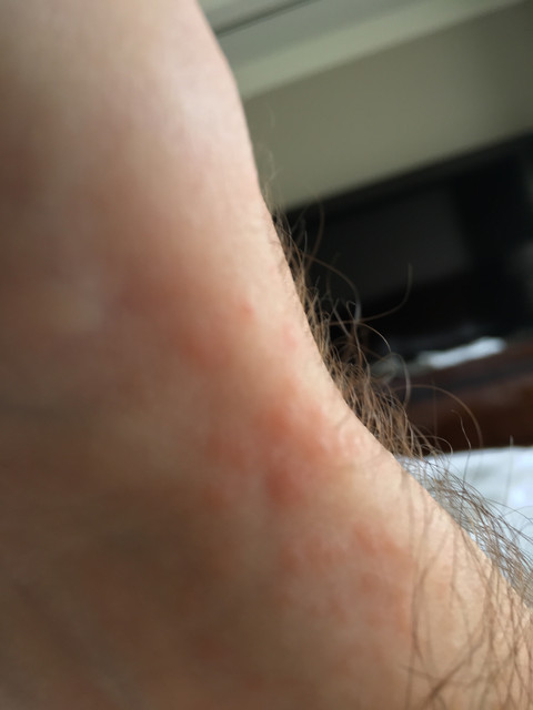 IMG 7271