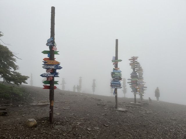 IMG-7202