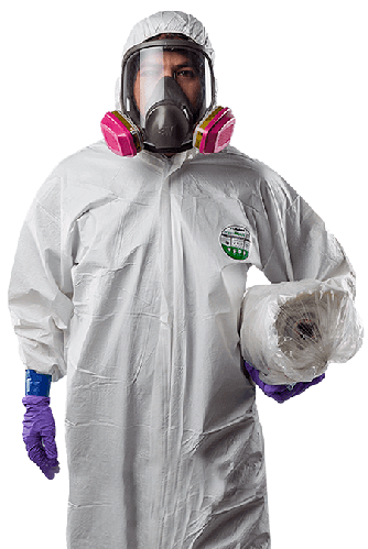 Mold-Removal-Company