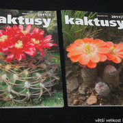 IMG-3291