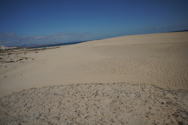 DSC01209