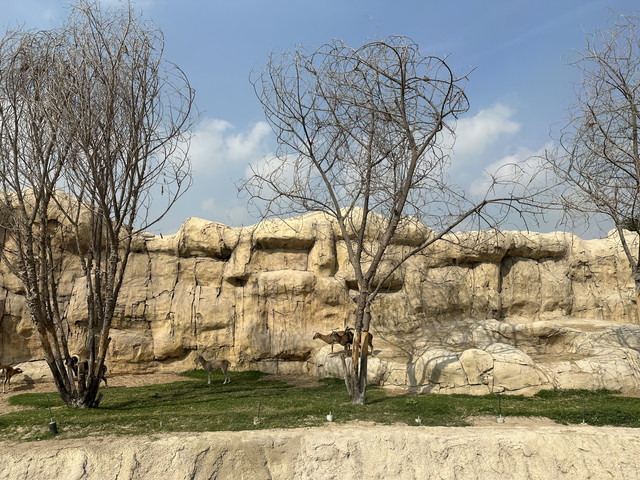 IMG-3668