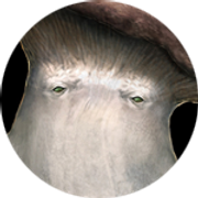 Mushpoier-S