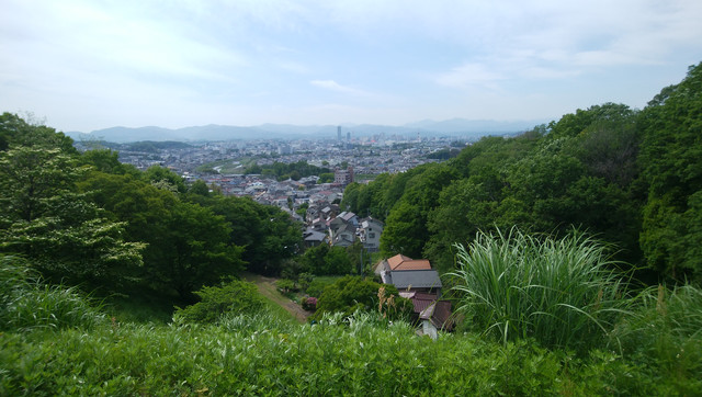 DSC-0028