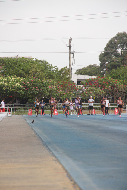 IMG-0065