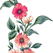4fbe5c50d3fc978cbefb829a69e16fc1