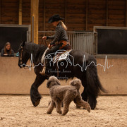 IMG-6167