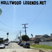 michu lane cali