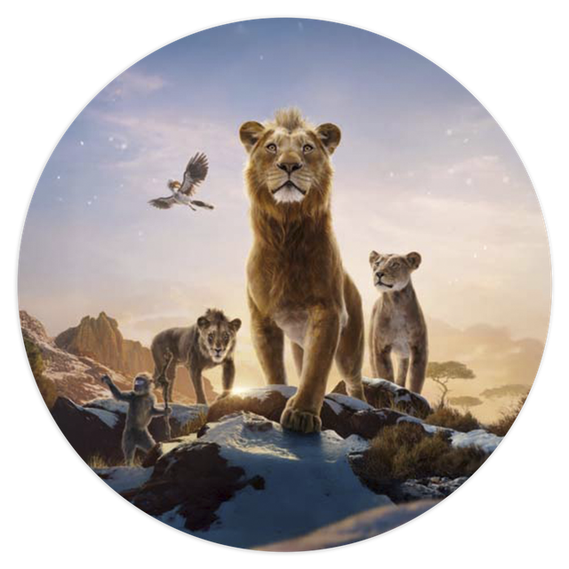 2101958-Mufasa-Ana