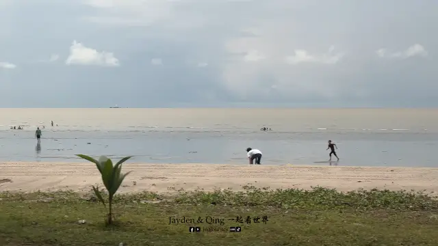 Jason Bay Public Beach3.webp