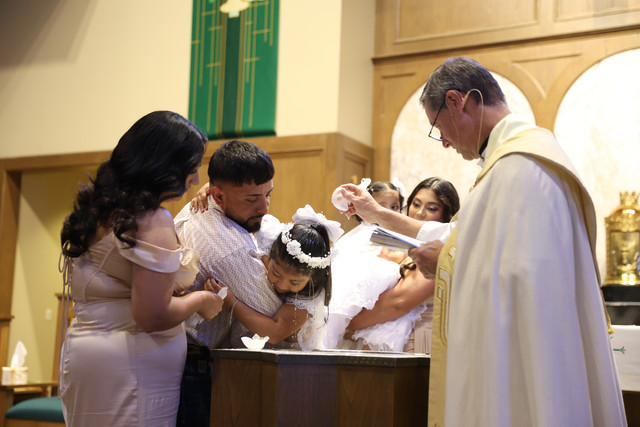 IMG-8812