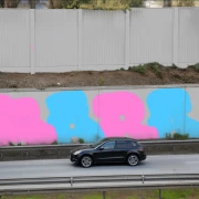 Graffiti artwork by hosha