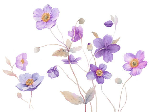 shutterstock 1664230504.jpg