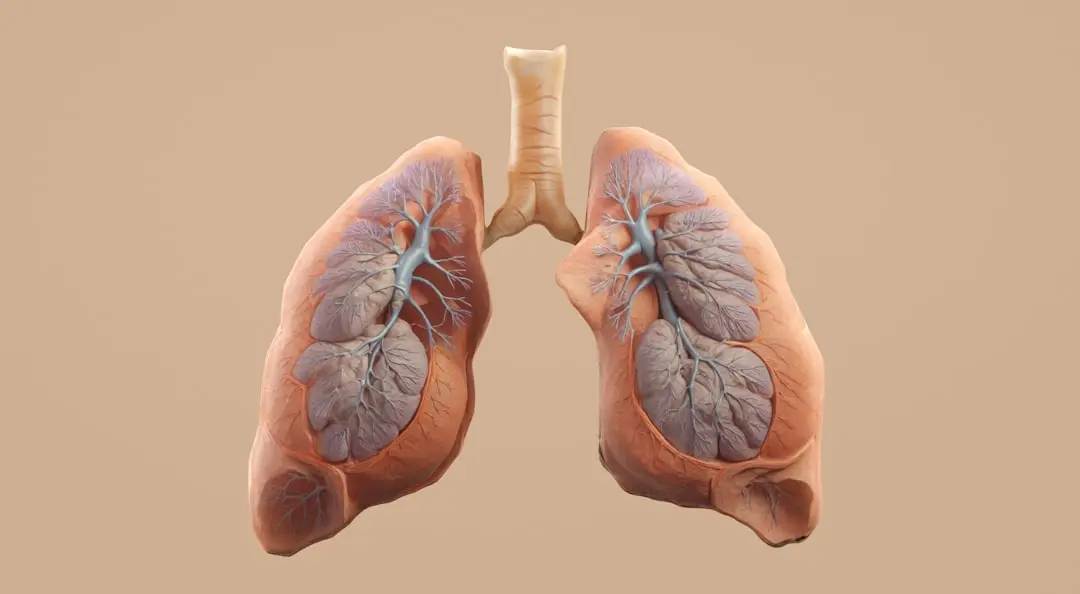 Leii respiră ușurați: munca devine mai simplă