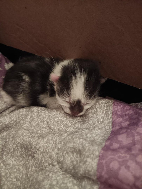 tiny