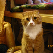 IMG-6199