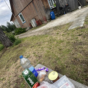 IMG 4608