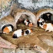Zoo Negara2