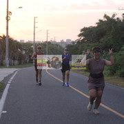 IMG-0393