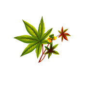 shutterstock 1593237334