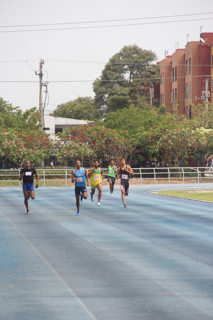 IMG-0339.jpg