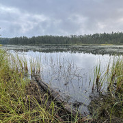 IMG 4489