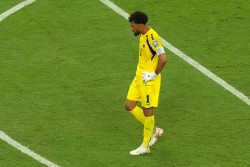Ảnh minh họa 5
