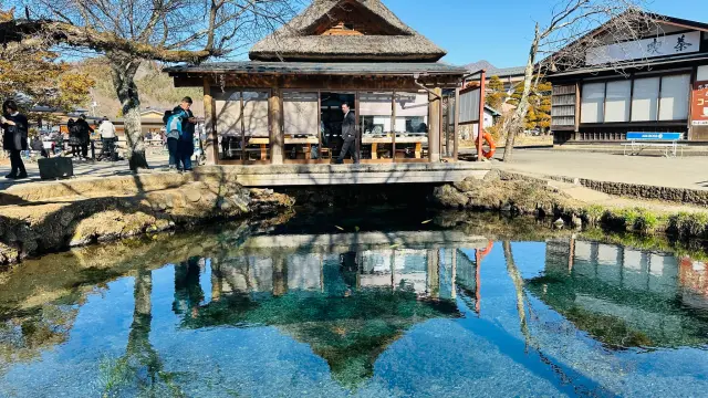 gallery Oshino Hakkai 03.webp