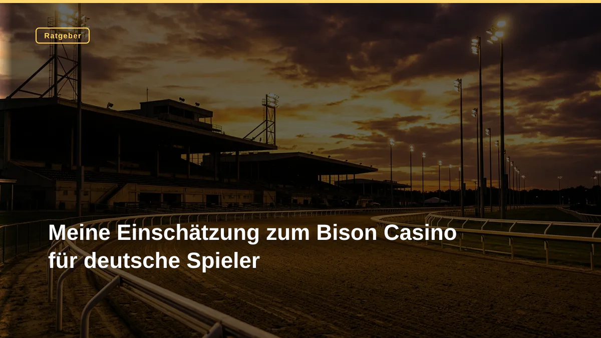 Meine Einschätzung zum Bison Casino für deutsche Spieler