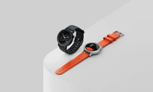 https://i.ibb.co/LDX72pT6/icon.webp