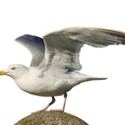 1-28