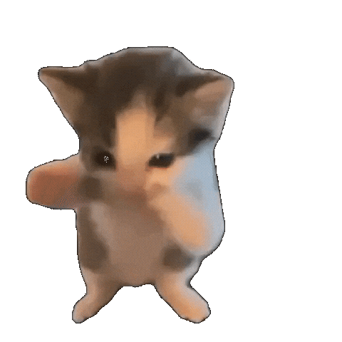 PSTOTO99 GIF