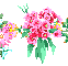 556c866bda50