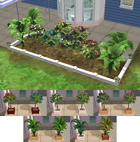 Patio Plants.jpg