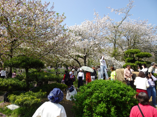 DSC09137.jpg
