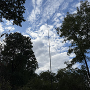 IMG 3508