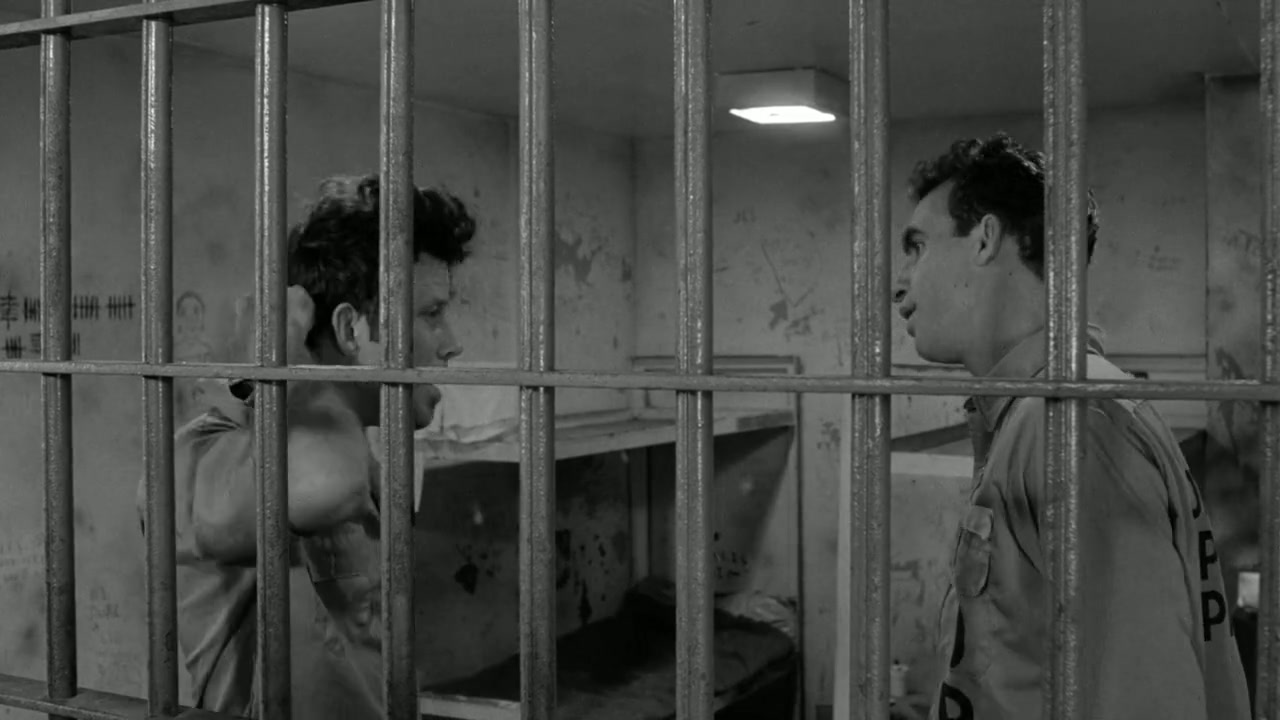 Down by Law Screenshot