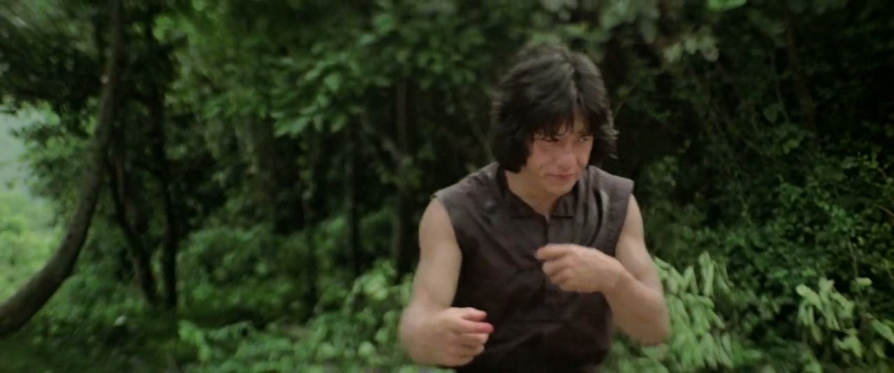 Drunken Master Screenshot