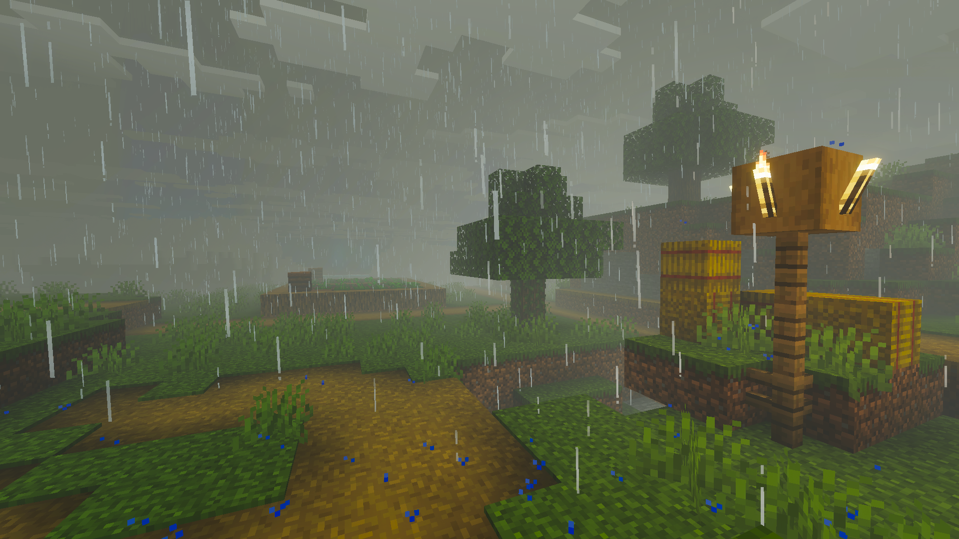 rainy day lantern