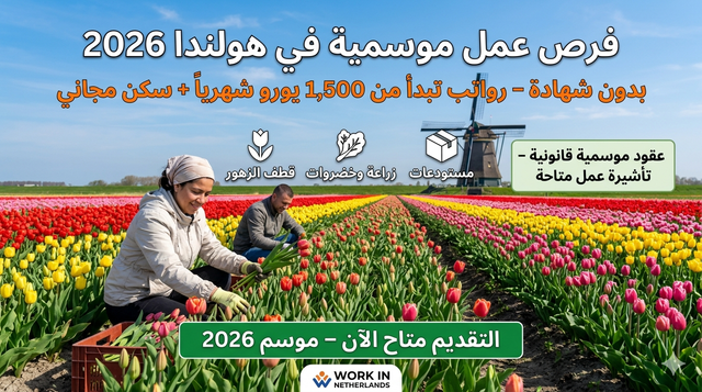 هولندا - وظائف موسمية