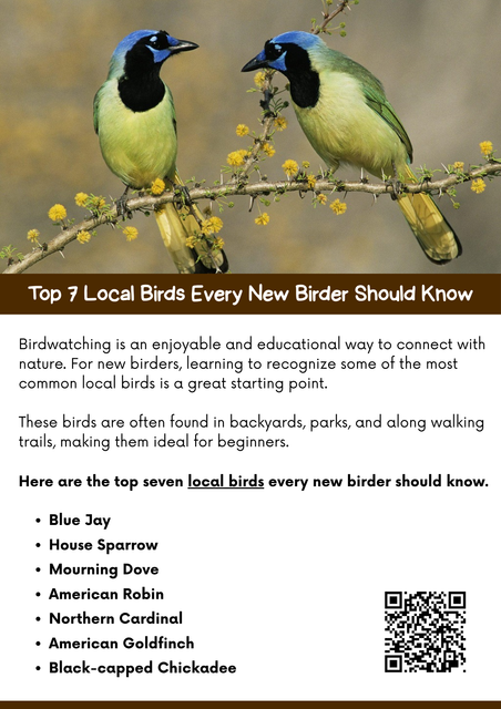 If you're new to birding, begin with these seven easy-to-spot local birds: American Robin, Northern Cardinal, Blue Jay, House Sparrow, Mourning Dove, Downy Woodpecker, and Black-capped Chickadee. These feathered friends are common in backyards and parks, making them perfect for beginners to observe and learn from. Enjoy discovering the beauty of nature, one bird at a time! To know more visit here https://wildbirdguide.com/category/local-birds/
