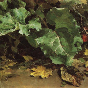 Лопухи 1870 е