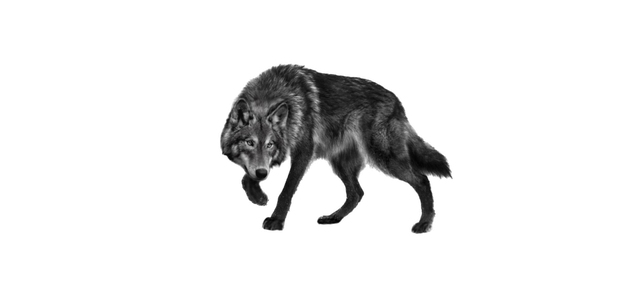 [Image: Untitled68-20260612150452.png]