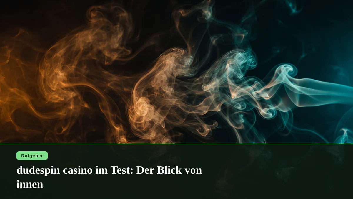dudespin casino im Test: Der Blick von innen