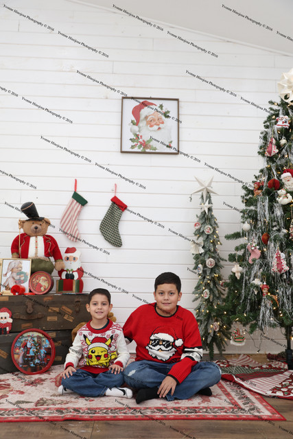 IMG 7868