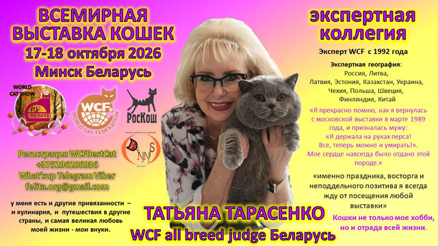 афиша 9