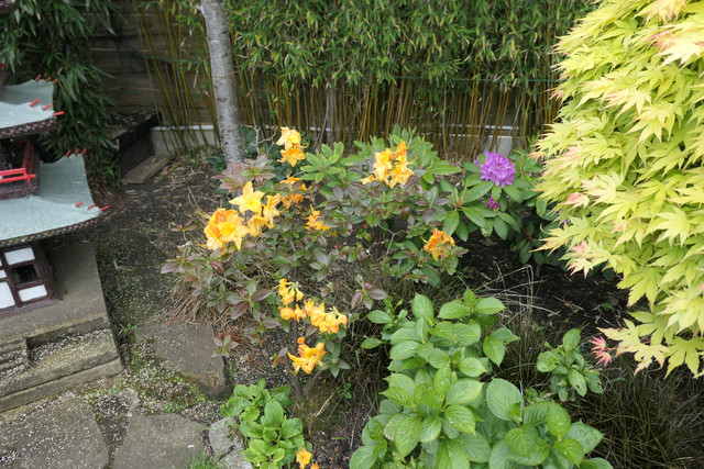 P1040594